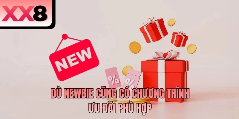 Dù newbie cũng có chương trình ưu đãi phù hợp